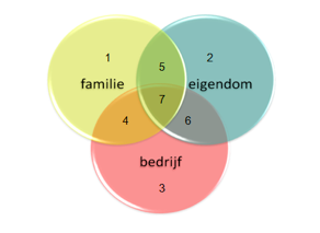 rollen familiebedrijven
